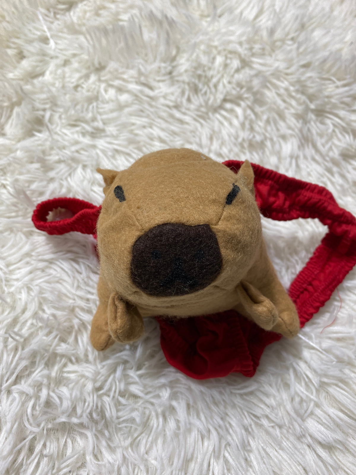 Tanga De Broma De Capibara Boxer Hombre Unitalla